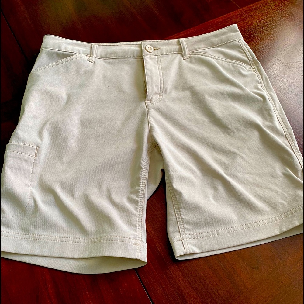 Dickies Stretch Performance shorts